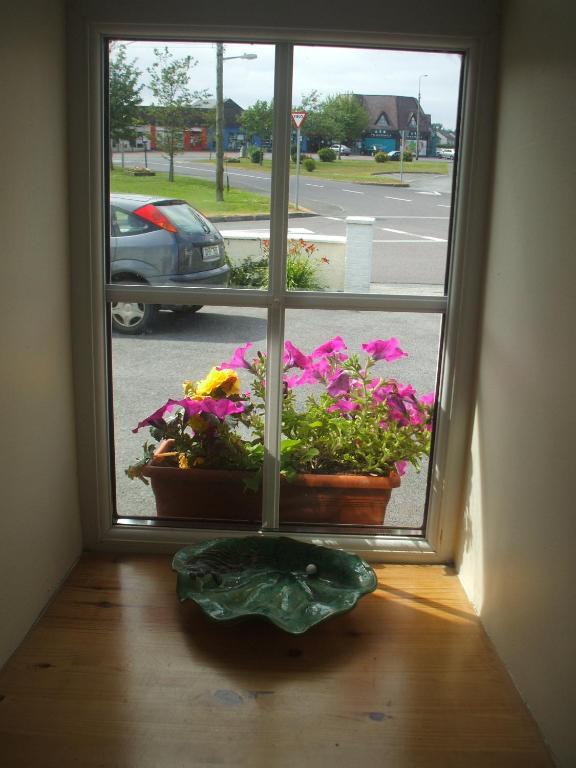 Carranross Accommodation キラーニー エクステリア 写真